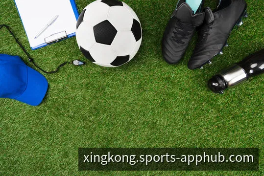 星空平台网页版综合访问终端界面示意图